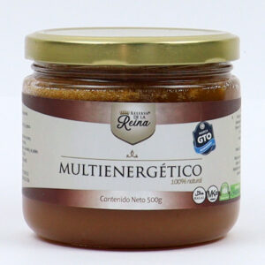 MULTIENERGETICO